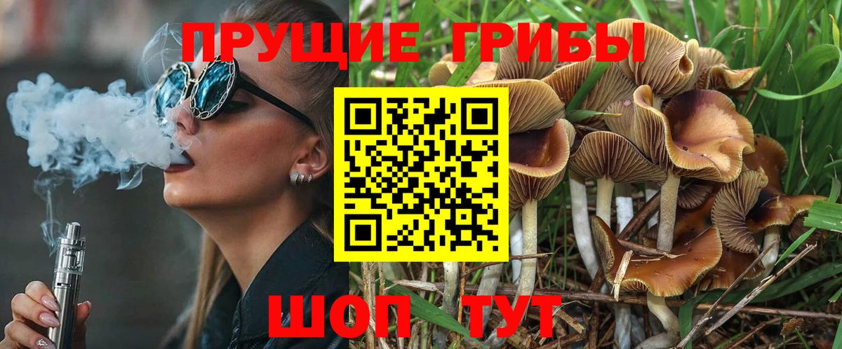 Псилоцибиновые грибы GOLDEN TEACHER Донской